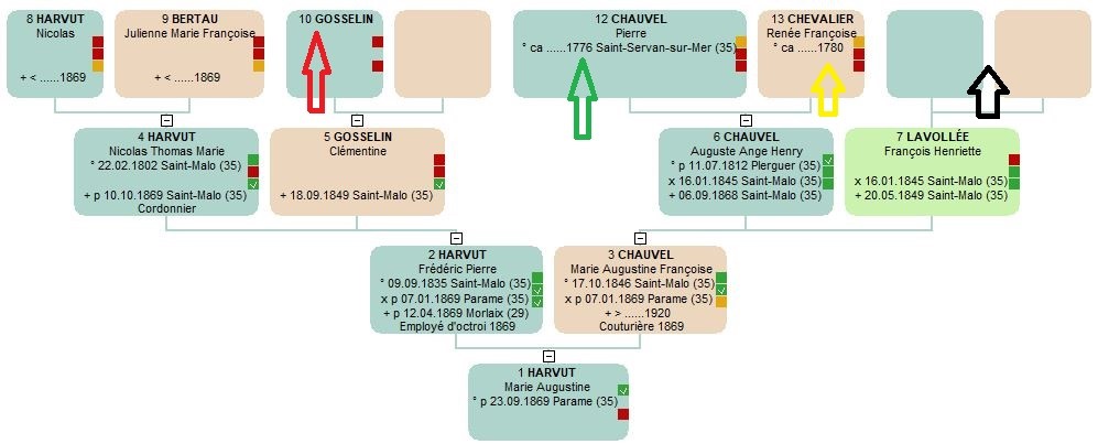 Arbre HARVUT x CHAUVEL à compléter